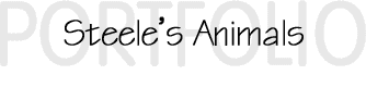 Steele's Animals