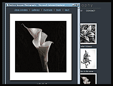 Andrew Sovjani Photography