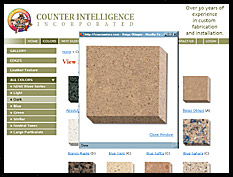 Counter Intelligence