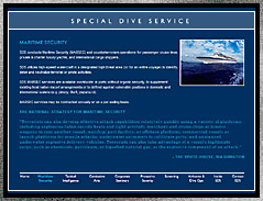 Special Dive Service